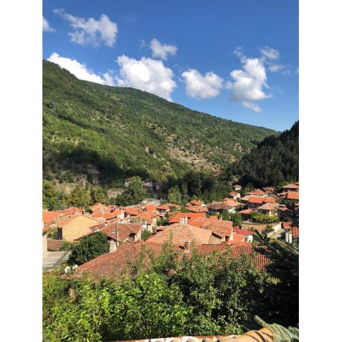 Ambrozia Spa and Relax family house