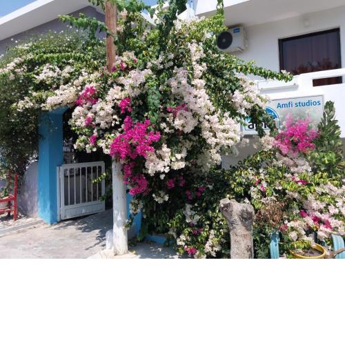 Amfi Apartments
