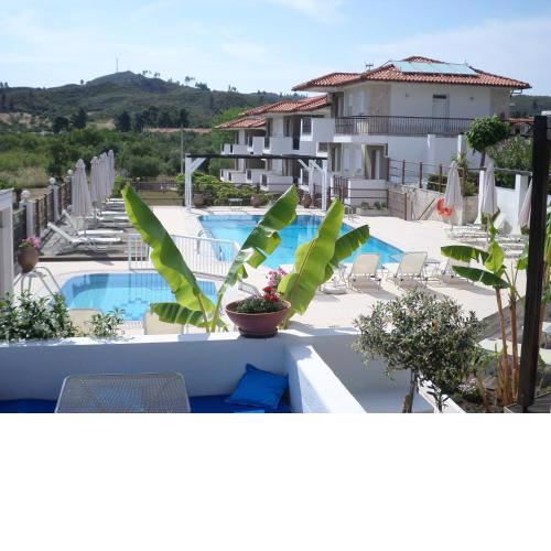 Ampelia Studios