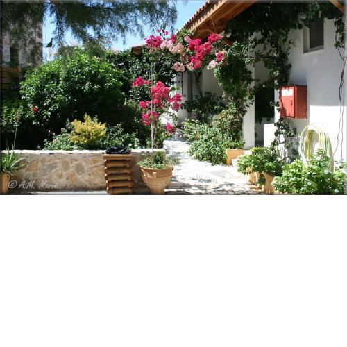 Ampelos apartment and studios