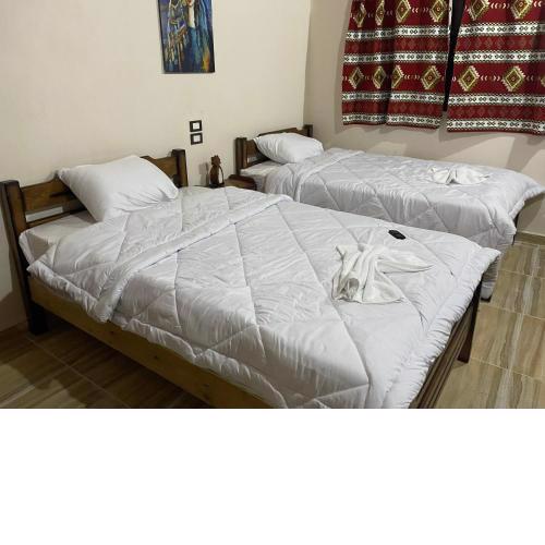 amzran hotel siwa