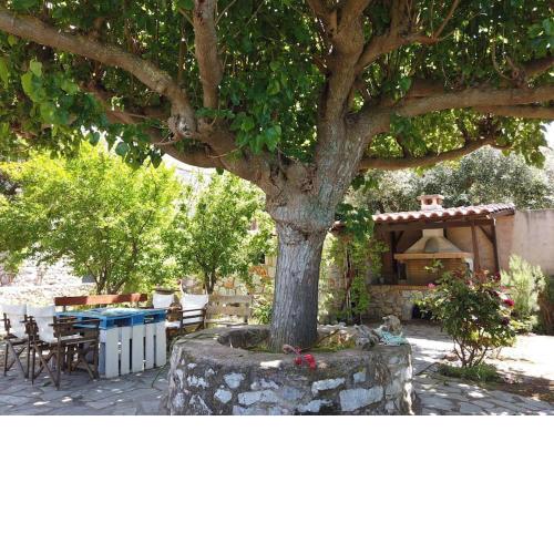 An entire traditional stone house with huge yard.