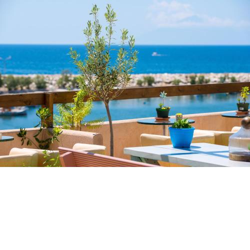 Anasa Thalassas