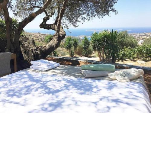 Andros Eco Lodge