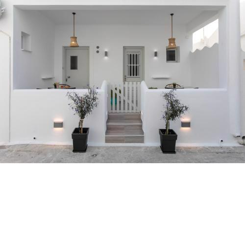 Anemela studio basic