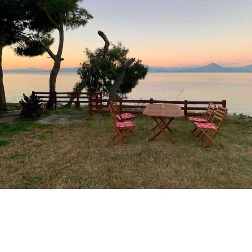 Anemomylos apartment by the sea