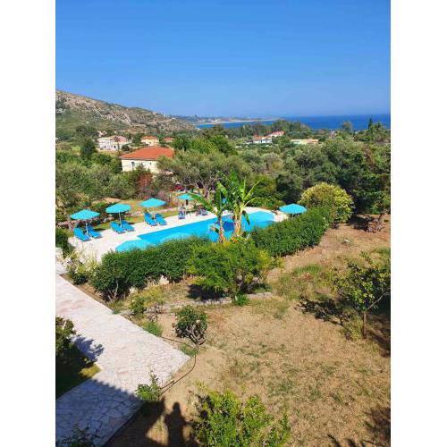 Anemona studio 4