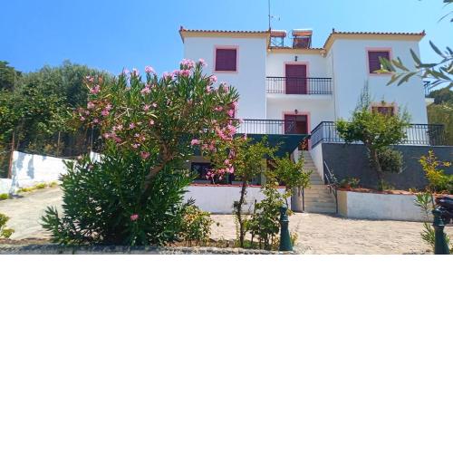 Anessis Studios