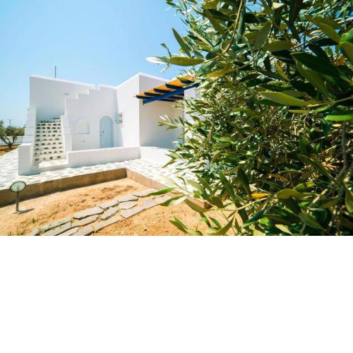 Angel Villa in Paros