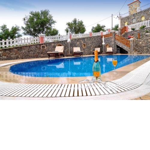 Angela Pool Apartments