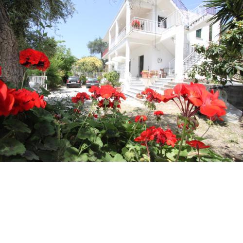 Angeliki Studio and Apartment