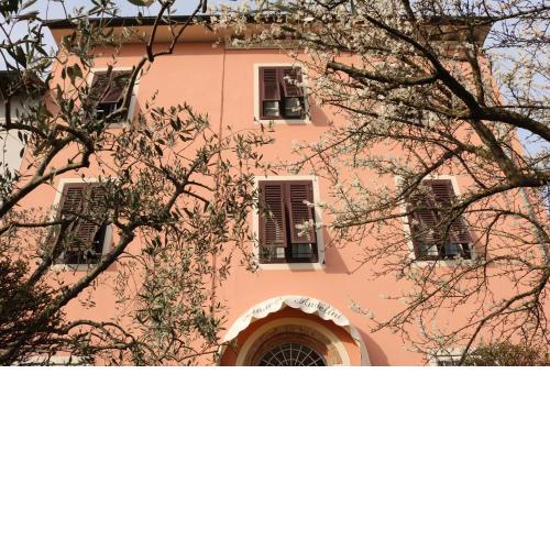 Angelini
