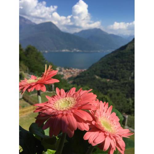 ANGOLO DI LAGO