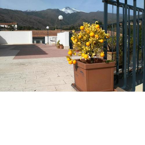 Anjel House Zafferana