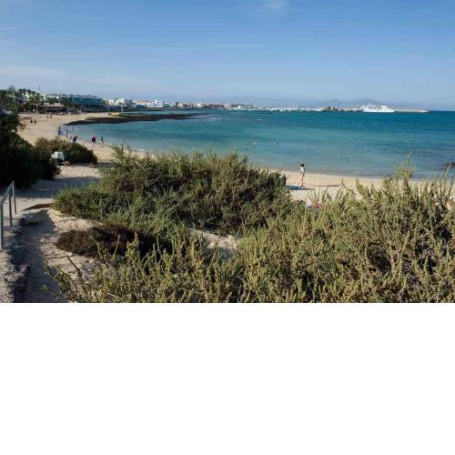 Anju villasVILLA MARGA VILLA AT 100 METERS FAR OF THE BEACH