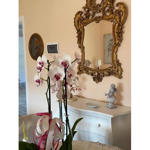 Annali Casa vacanze - Shabby style nella natura