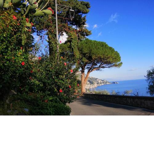 Antica Plagianum