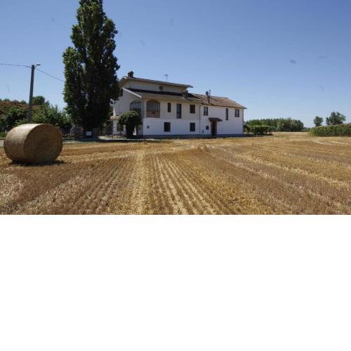 Antico Pioppo