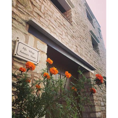 Antonia’s Home Alfa Village