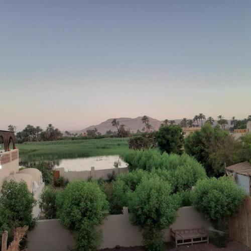 Anubis Guest house