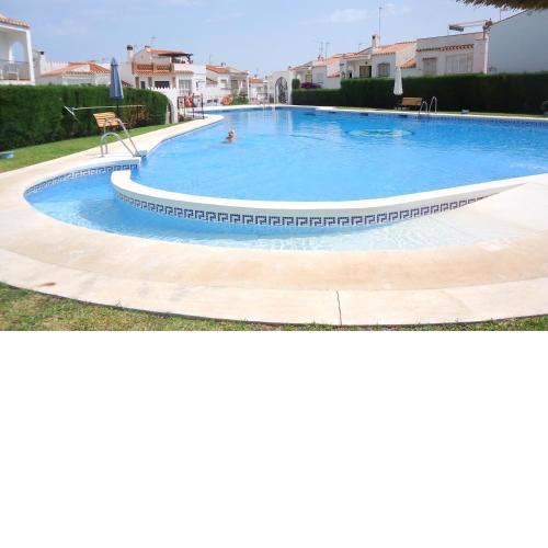 AP322 - Mirlo