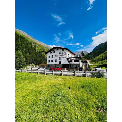 Apart Berghof Steinbock