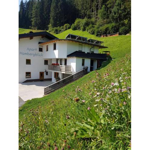 Apart Hambergblick