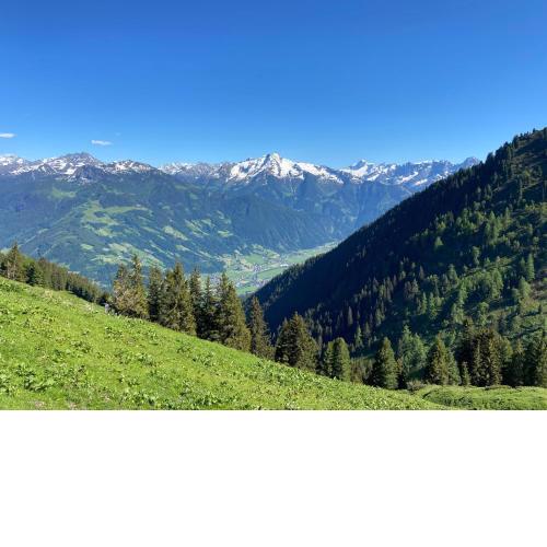 Apart Hirschbichlalm