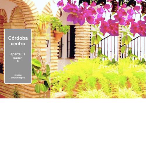 Apartaluz -8 Centro Córdoba Wifi Pk