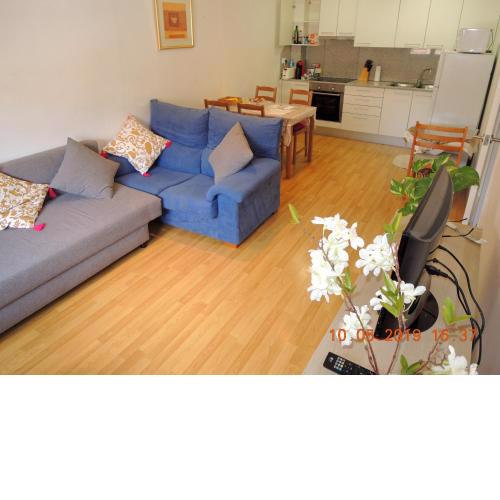 Apartament Besalú