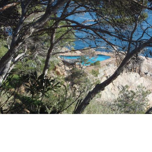 Apartament ccs 13