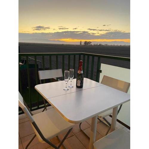 Apartament Eucaliptus