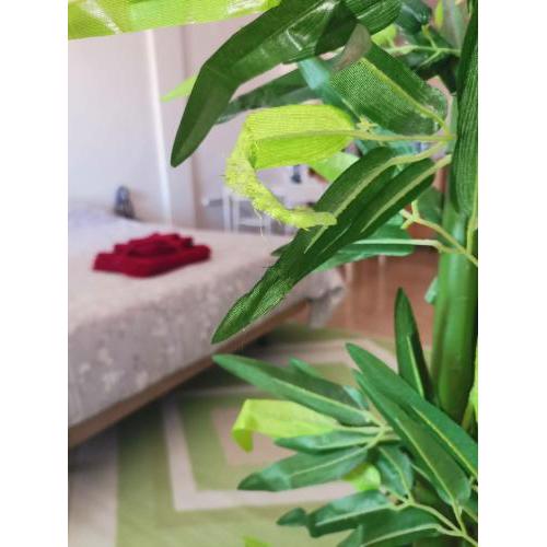 Apartament puerto