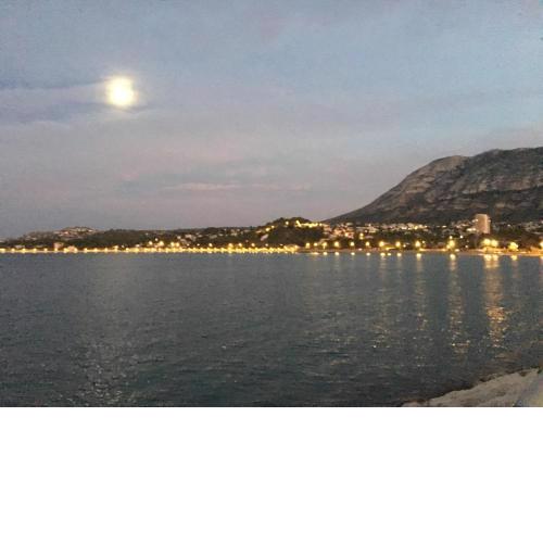 Apartament Sony