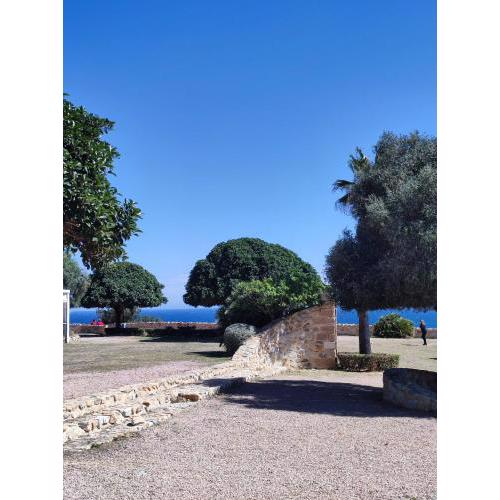 Apartament Violetta