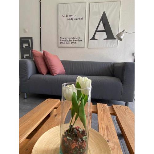 Apartamento 2 balcones