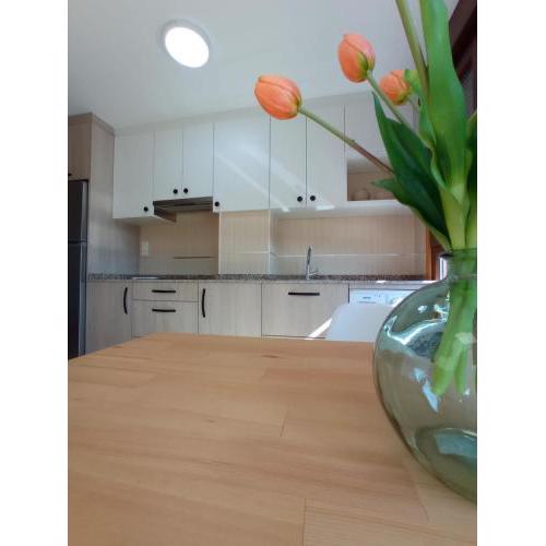 Apartamento Alfa