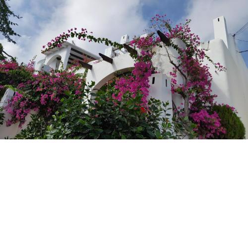 Apartamento bungalow