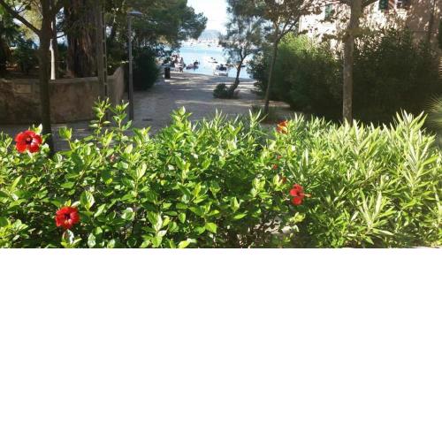 Apartamento Can tomas Sea View Pinewalk