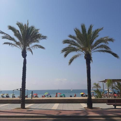 Apartamento cerca Playa Napoli II