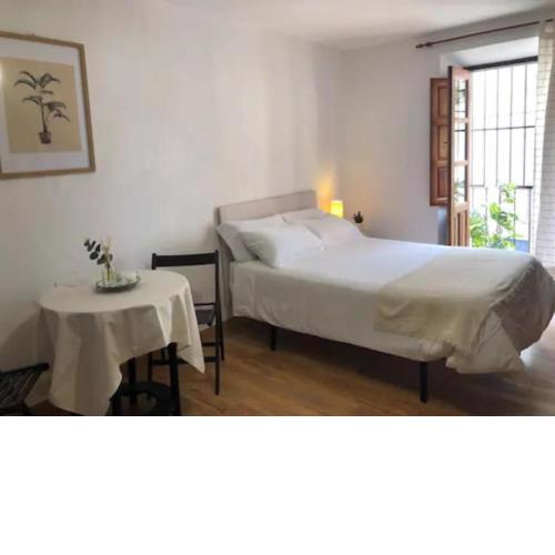 Apartamento Completo Reformado en Arco de Elvira - Centro