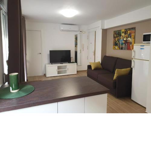 APARTAMENTO DELUX CALLE SAN VICENTE