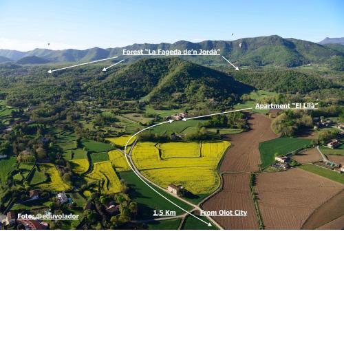Apartamento "El Lilà"
