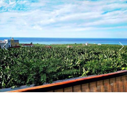Apartamento El Tejar