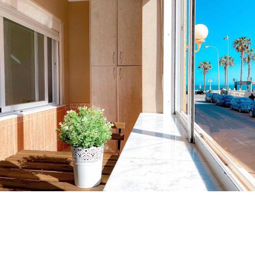 Apartamento en 1ª linea de playa