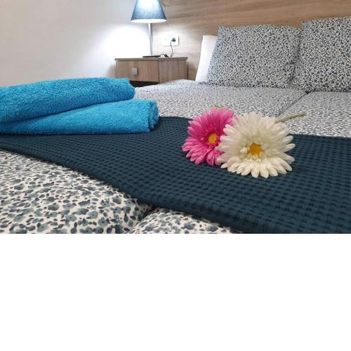 Apartamento Eucalipto