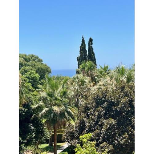 Apartamento Hercules