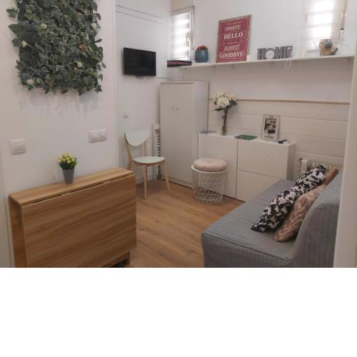 APARTAMENTO JUNTO ESTACION ATOCHA