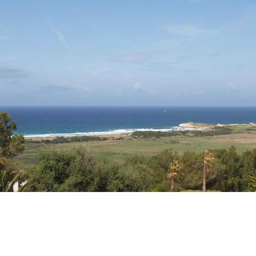 Apartamento las camelias 18