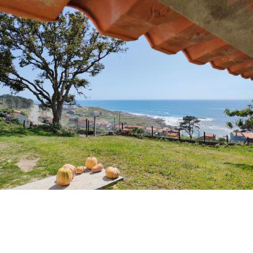 Apartamento Loft A Estivada